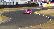 cliquez ici pour voir l'image (2004_mrl_spice24-chicane-ford.jpg)